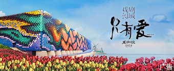 荷蘭花海